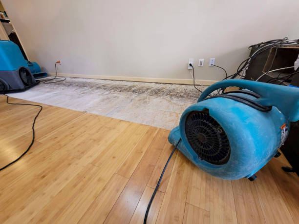 Reliable Basement Flood Cleanup contractor in Owensville, IN by Hirex Water Damage