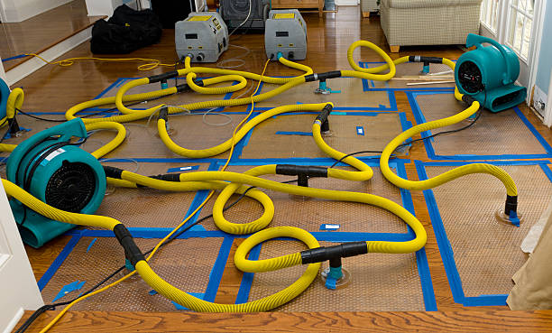 Professional Basement Flood Cleanup technician working in Owensville, IN